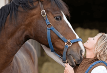 How Much Does Horse Riding Cost