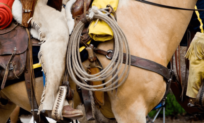 What Are Chaps Used for in Horse Riding