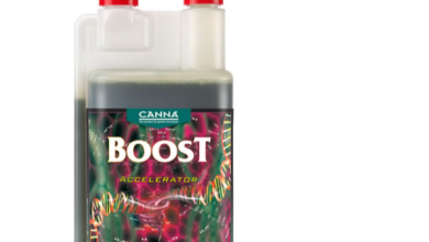 Canna Boost and Grow Light Kits