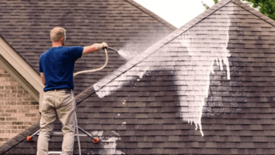 Roof Cleaning by Premier Power Cleaning