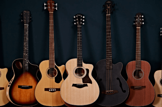 Types of Guitars