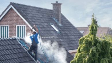 Roof Cleaning by Horizon Home