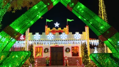 Brighten Your Holidays with Valley Christmas Lights: The Best Holiday Light Company in Phoenix AZ and Nearby Areas