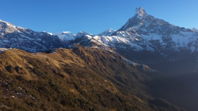 Yoga Trekking