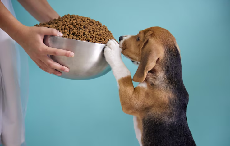 Mr Pet Cat Food and Taste Of The Wild Dog Food: A Smart Choice for Healthy Pets