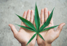 Cannabis Branding In A New Era