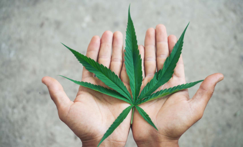 Cannabis Branding In A New Era