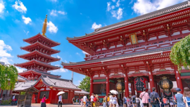 Japan Tour Packages for Families: Comfort, Safety & Expert Planning by Flamingo Travels