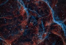 cosmic node digital contact research