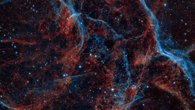 cosmic node digital contact research