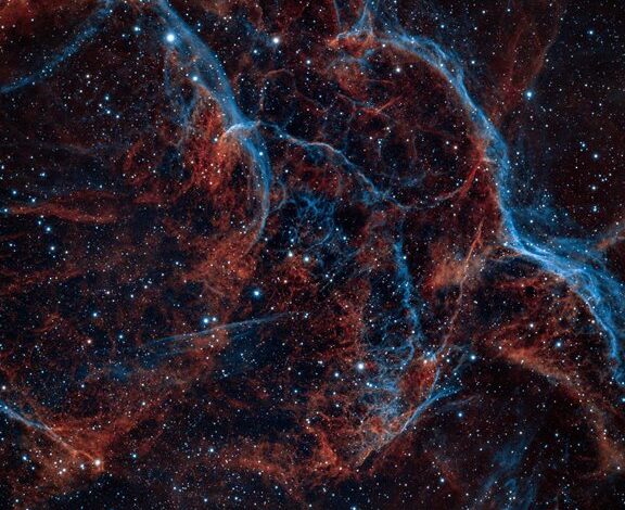 cosmic node digital contact research