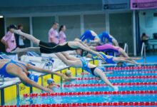 luminous flow start shaping reliable lookups