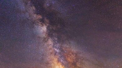 stellar gateway start driving next call insights