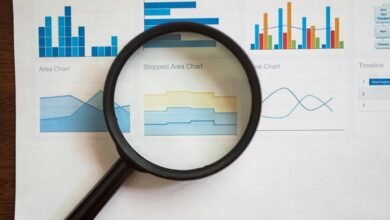 profile discovery portal gabeozaos insights