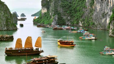 Vietnam New Year Holidays: Best Destinations, Weather and Sightseeing Experiences